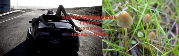 a pvp Алзамай