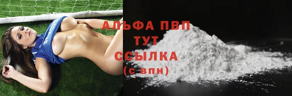 индика Алексин