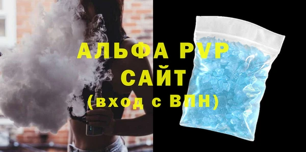 индика Алексин