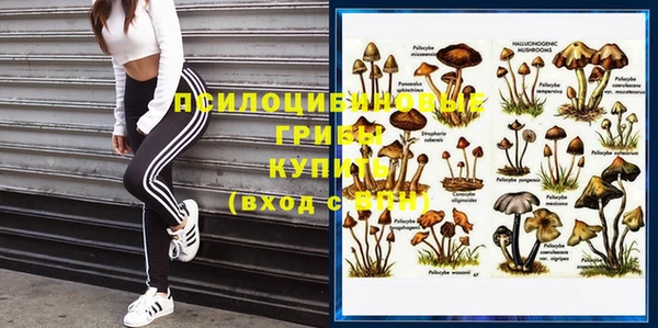 шишки Мегион