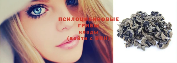 a pvp Алзамай