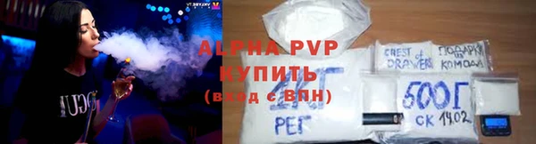 индика Алексин