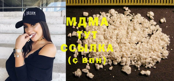 индика Алексин