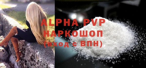 индика Алексин