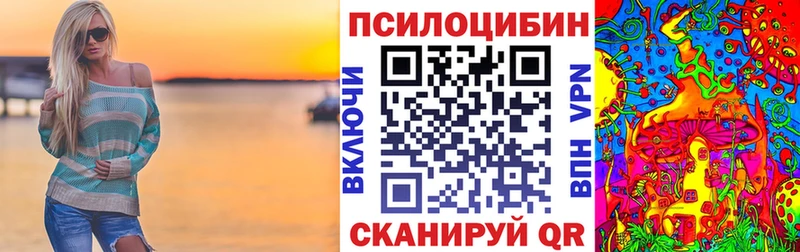 Псилоцибиновые грибы Cubensis  Петрозаводск 
